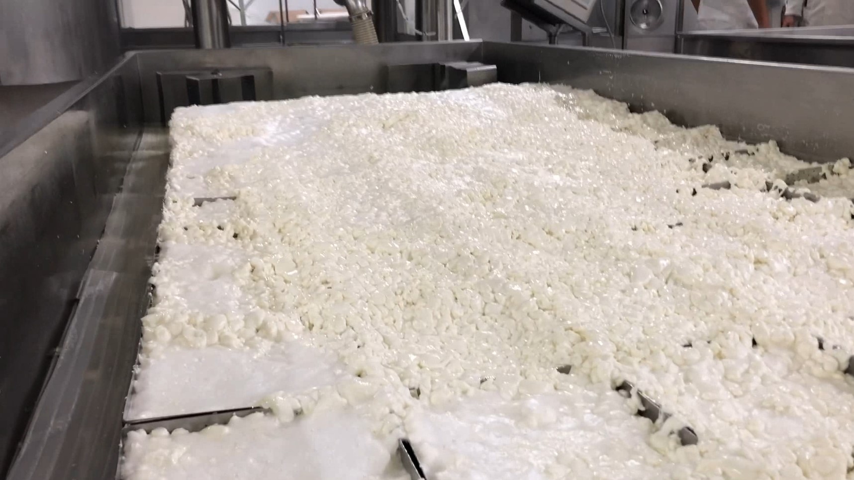 Trasferimento delicato di cagliata