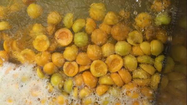 Trasferimento delicato di pesche da conserva
